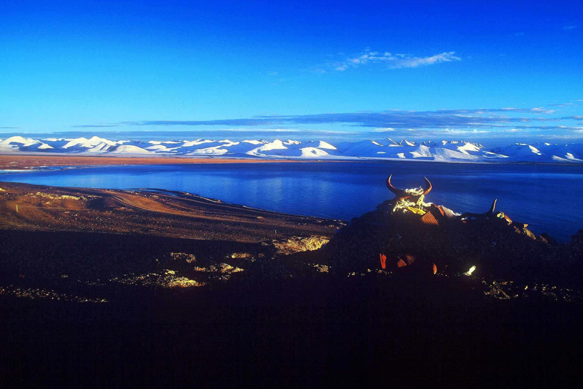 想飞上天和太阳肩并肩